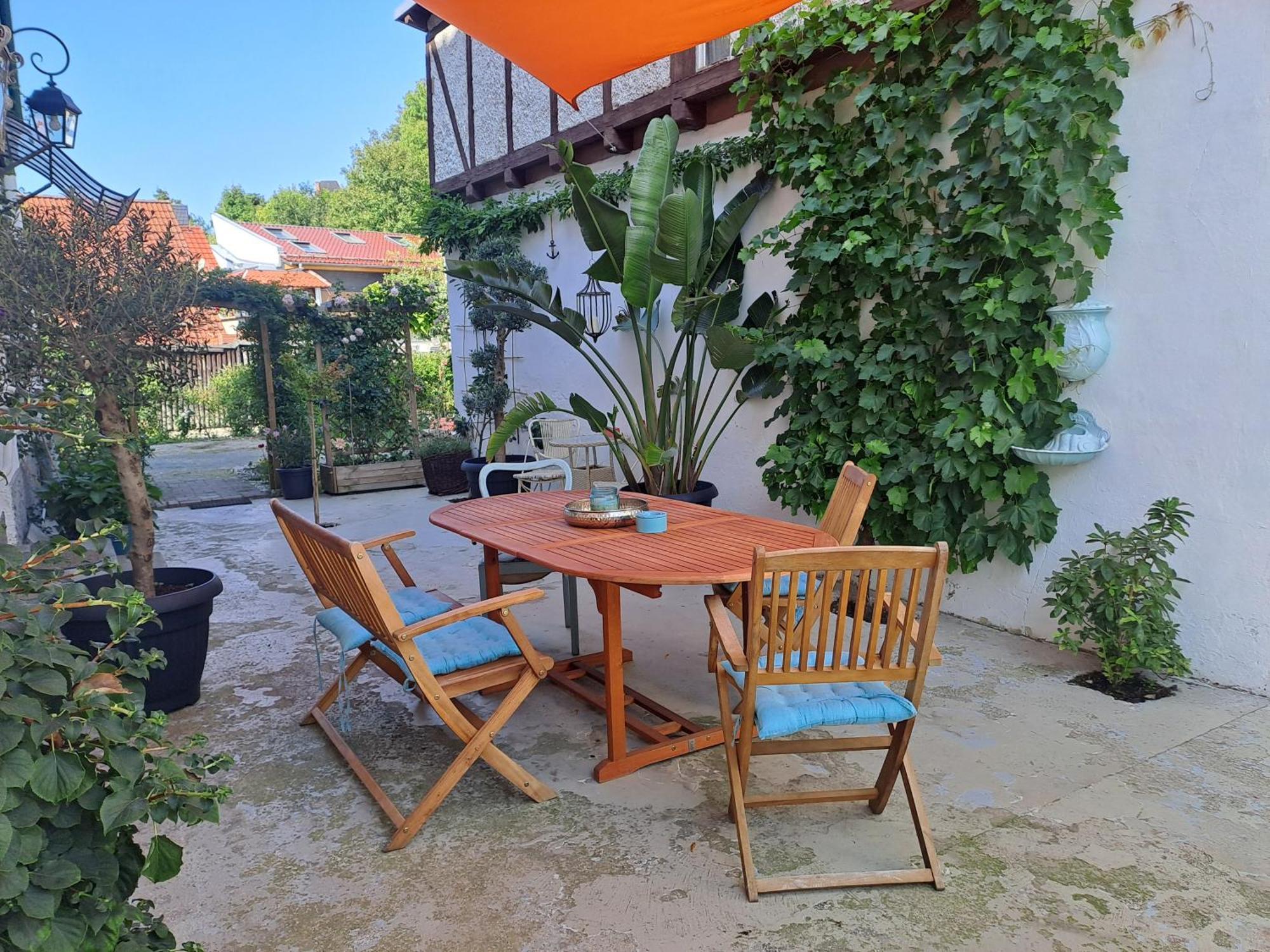 Sonniges Apartment Altenbrak Kültér fotó